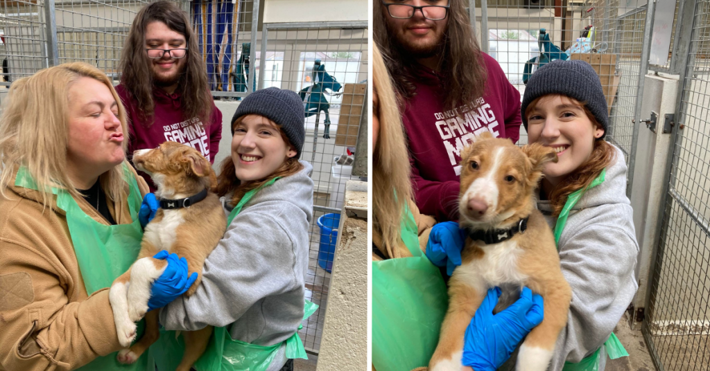 mango giving back to the community volunteering at The Barn Animal Rescue - two woman and one man holding puppy