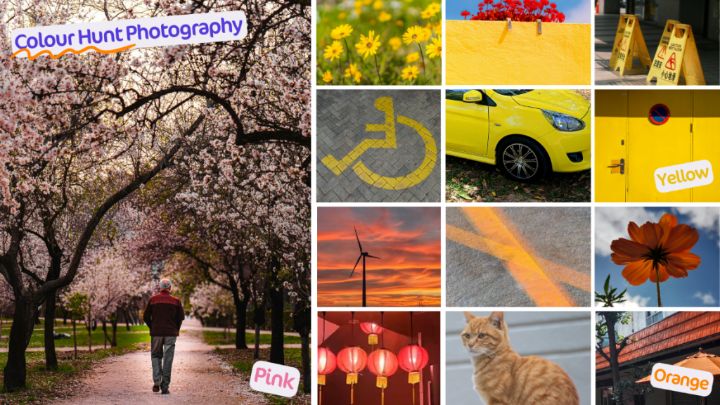 Employee Wellbeing - Colour Hunt Photography Trend